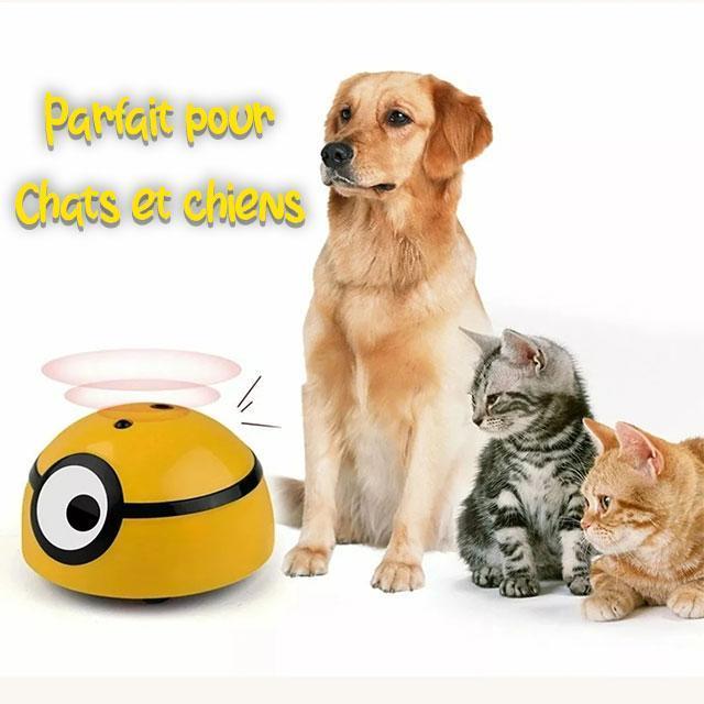 Gadgets d'Eve animaux de compagnie CHATOY™: Jouet à capteur intelligent pour chats