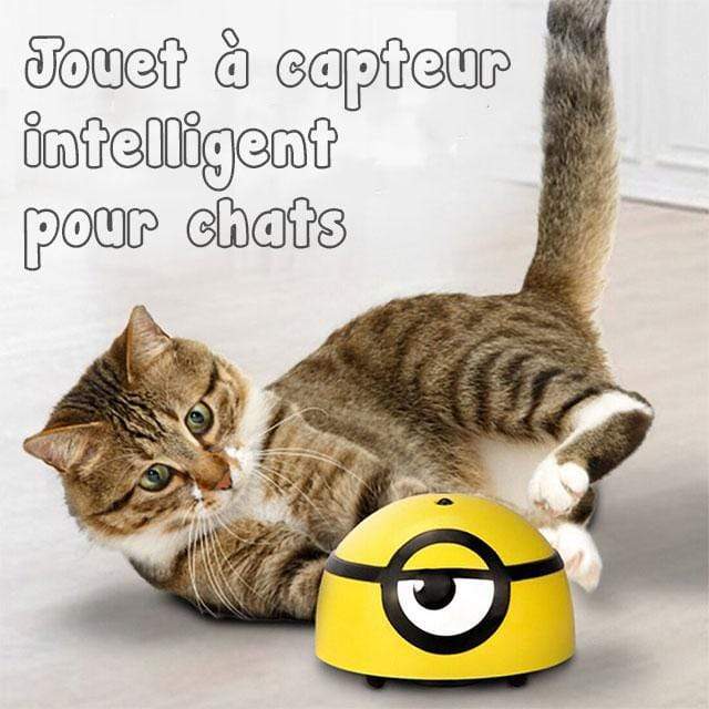 Gadgets d'Eve animaux de compagnie CHATOY™: Jouet à capteur intelligent pour chats