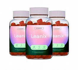 Leanix