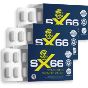 SX66 Avis